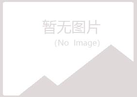 宜春字迹化学有限公司